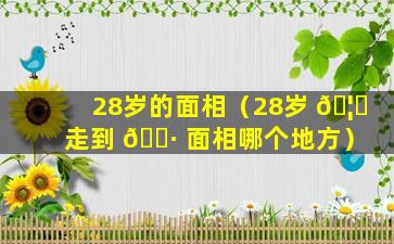 28岁的面相（28岁 🦊 走到 🌷 面相哪个地方）